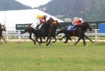 Quill Wild segue invicto com lindo triunfo no GP Ernani de Freitas (G3)