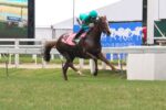 Em boa marca, Le Gonfalon domina o GP Costa Ferraz (G3)