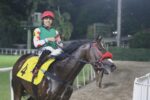 Pedigree da semana: Olympic National