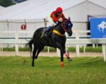Galeria de Fotos – Confira os vencedores deste DOMINGO (16/11) no JCB