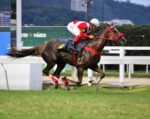 Galeria de Fotos – Confira os vencedores desta SEGUNDA (17/11) no JCB