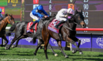 Em recorde, Ethical Diamond impede o Tri de Rebel’s Romance na BC Turf (G1)