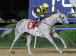 Na abertura do “Carnival”, em Dubai, Norato, da criação Santa Rita da Serra, levanta Handicap