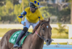 Obstacle massacra seus rivais no Gran Premio Nacional (G2)