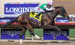 Scylla, a campeã da BC Distaff (G1)