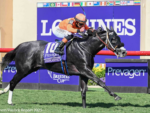 De ponta a ponta, melhor para Shisospicy na BC Turf Sprint (G1)