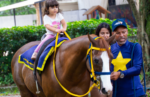 Meeting de Novembro traz um domingo especial no Jockey: 16/11