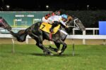 Turfista vence o desafio do Betting 4 EX e fatura mais de R$ 155 mil