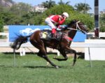 Galeria de Fotos – Confira os vencedores deste DOMINGO (21/12) no JCB