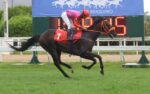 GP José Buarque de Macedo (G3): Awesome Amour mostra força para o GP Estado do Rio de Janeiro (G1)