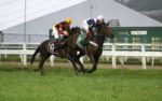 GP Roger Guedon (G3): Oh Promise Me carimba passaporte para o GP Henrique Possolo (G1)