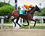 Galeria de Fotos – Confira os vencedores deste DOMINGO (25/01) no JCB