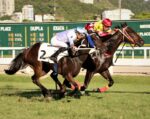 Galeria de Fotos – Confira os vencedores deste DOMINGO (18/01) no JCB