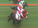 O curioso mundo do photo finish no turfe, por Matheus Peres