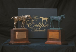 Sovereignty, o astro do 55º Eclipse Awards