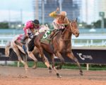 Skippylongstocking atropela forte para vencer a VIII Pegasus World Cup (G1)
