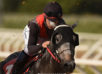 Twist do Iguassu, o campeão do 57º Turfe Gaucho