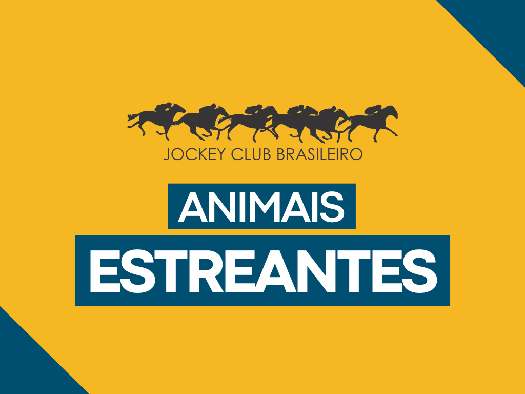 Relação de estreantes para os dias 08 e 09 de JUNHO de 2026