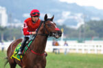 Leandro Henrique agora é o 1ª monta do Stud Red Rafa