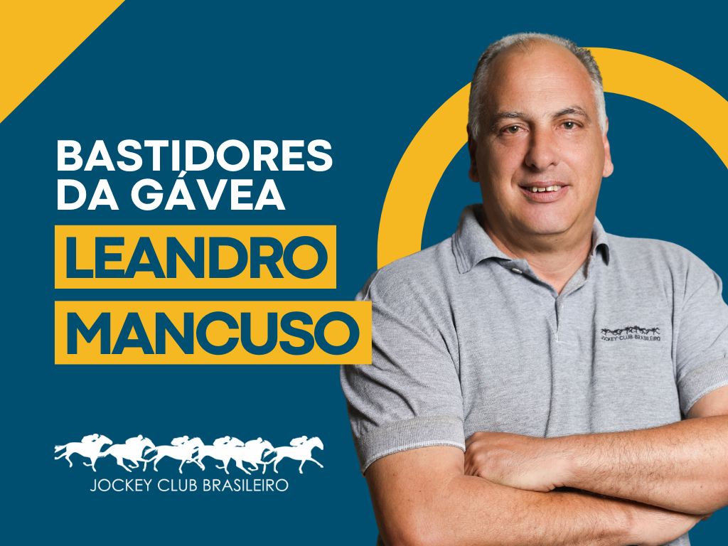 Bastidores da Gávea, por Leandro Mancuso