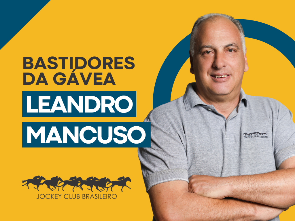 Bastidores da Gávea, por Leandro Mancuso