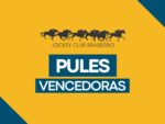Turfista leva para casa mais de R$ 92 mil do Pick 7