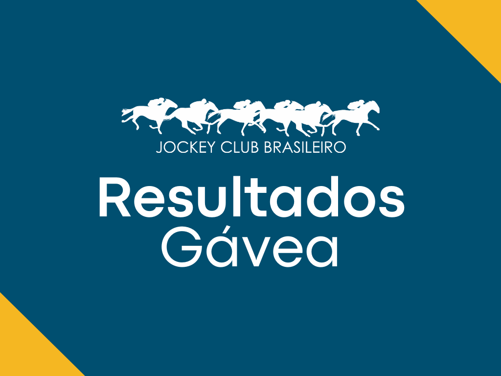 Resultados da reunião de 02/06/2026 – TERÇA