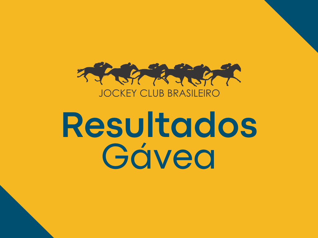 Resultados da reunião de 08/06/2026 – SEGUNDA