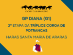 Veil tem 13 rivais pela glória do Diana e para manter-se viva em busca da Coroa