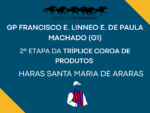 Sem o candidato Bet You Can, 14 potros lutam pelo GP Francisco e Linneo Eduardo de Paula Machado (G1)