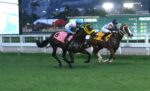 Tinindo, Kaiser K domina o Handicap Haras Ipiranga