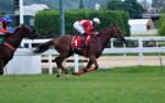 Gevrey-Chambertain larga e acaba no Clássico Antônio Carlos Amorim (L.)