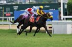 Ultra Show vence a Seletiva da Copa Precocidade e Velocidade ABCPCC