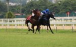 Olympic Oman supera Tyrion no GP Escorial (G3)