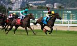 GP Henrique Possolo – Haras Santa Maria de Araras: Veil abre o caminho para a Coroa