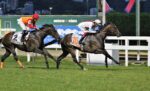 GP: Estado do RJ – Haras Santa Maria de Araras (G1): Magnífico, Dettori pavimenta o caminho de Bet You Can para a Coroa
