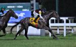 Na quarta vitória clássica de Luiz Esteves, Wall Street domina o GP Hipódromo da Gávea (G3)