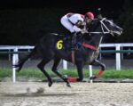 Galeria de Fotos – Confira os vencedores deste DOMINGO (01/02) no JCB
