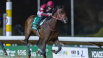 Forever Young, o inédito e milionário bicampeão da Saudi Cup (G1)
