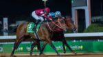 Sábado de Carnaval com Forever Young na Tv Turfe, em busca do bicampeonato da Saudi Cup (G1)