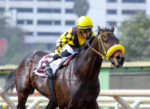 Puppi’s Husband vence o Baldomero Aspillaga (G3) e classifica-se para o Latino 2026