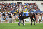 Domingo no Jockey – Um programa que já faz parte da vida carioca