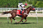 Pedigrees da semana: Paid In Full e Iluminada