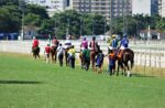 Listed para potrancas de 2 anos em destaque no Hipódromo da Gávea