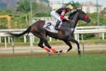 On The End, um galope de saúde no GP Euvaldo e Milton Lodi (G3)