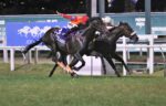 Domingo é dia de Derby, a 95ª edição do GP Cruzeiro do Sul (G1) – Haras Santa Maria de Araras