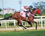 Galeria de Fotos – Confira os vencedores deste DOMINGO (08/03) no JCB