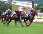Galeria de Fotos – Confira os vencedores deste DOMINGO (22/03) no JCB
