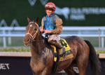 Florida e Arkansas Derby agitam a tela da Tv Turfe