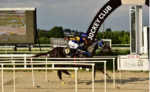 Hermoso Dollar, o melhor do 23º GP Turfe Paranaense